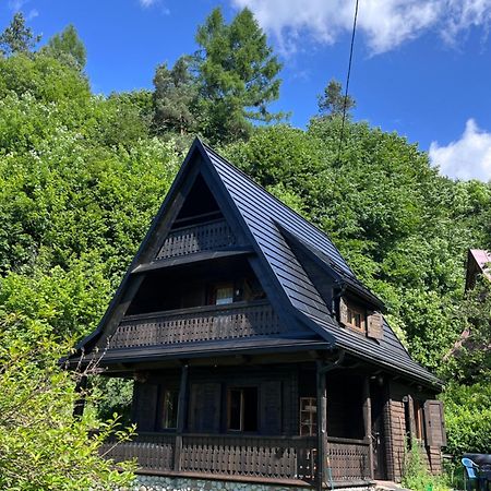 Drewniany Domek Bb Nad Rzeka Powroznik Ngoại thất bức ảnh